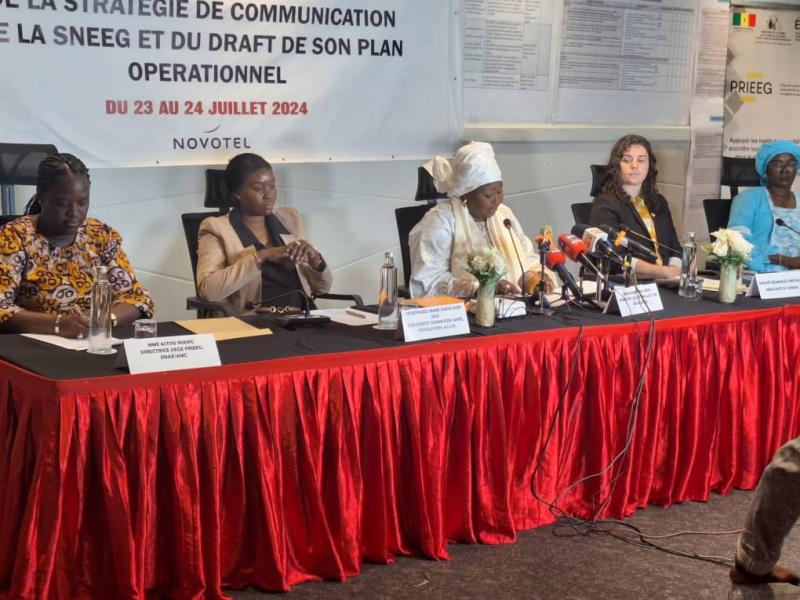 Atelier d’actualisation et de la validation de la stratégie de communication de la Stratégie Nationale pour l’Égalité et l’Équité de Genre (SNEEG) et du draft de son plan opérationnel
